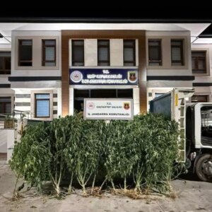 gaziantepte 825 kok kenevir ele gecirildi bzrF5vTd