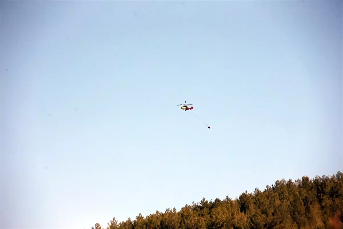 cinede orman yangini kontrol altina alindi b94KkJsF