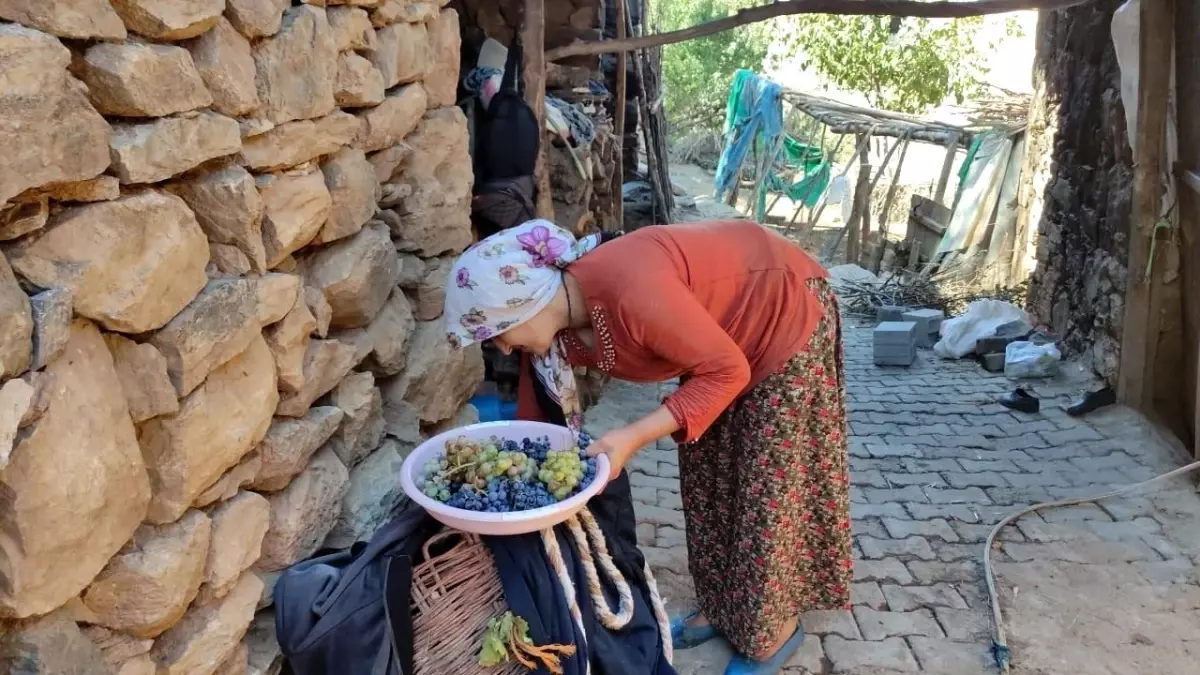 erzincanda kis hazirligi meyve kurutma Rb3X9MsP