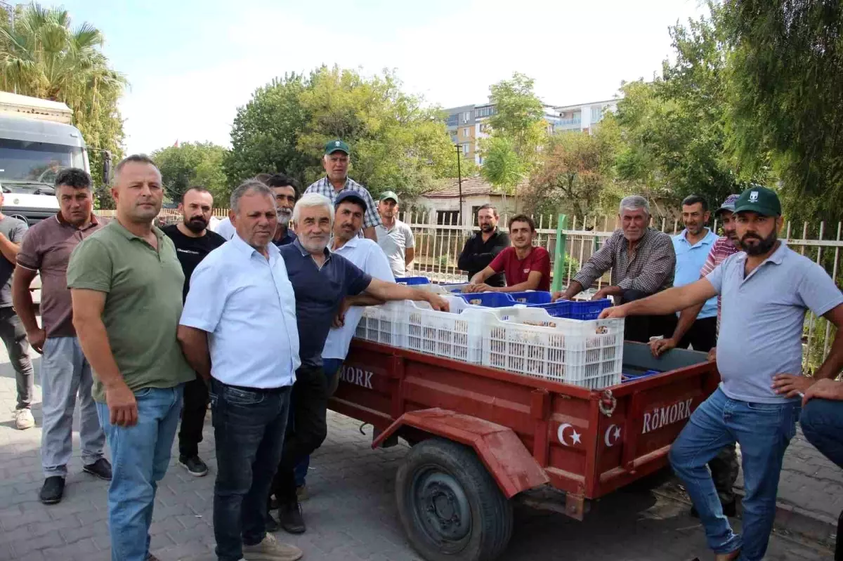 incir alimlari tuccar sorunu nedeniyle durduruldu pYLGO5Y1