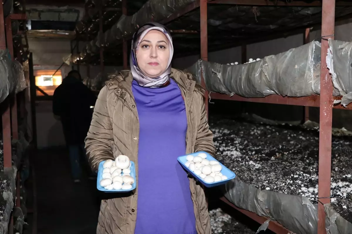 kadin girisimci mantar uretiyor W9Y2SdL4.jpg